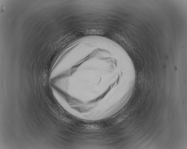 X0000083660741200703121811