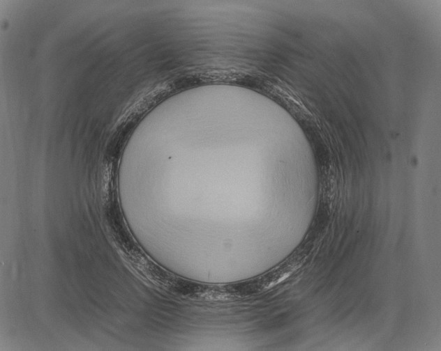 X0000083660742200703121811