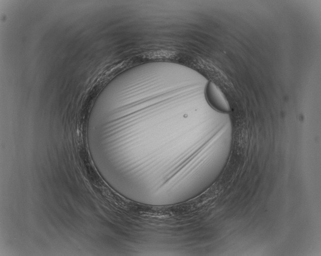 X0000083660743200703121811