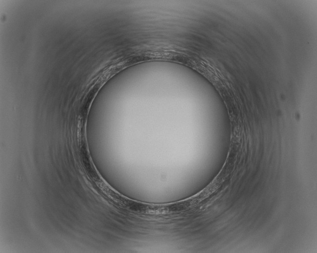 X0000083660744200703121811