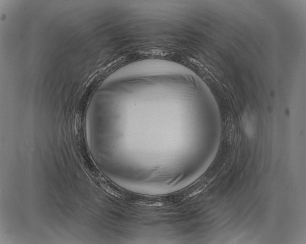 X0000083660747200703121811