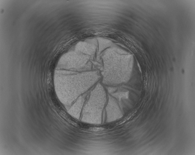 X0000083660748200703121811