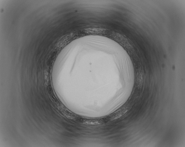 X0000083660749200703121811