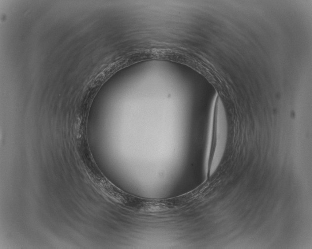 X0000083660750200703121811