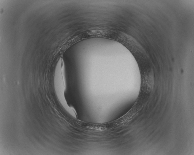 X0000083660751200703121811