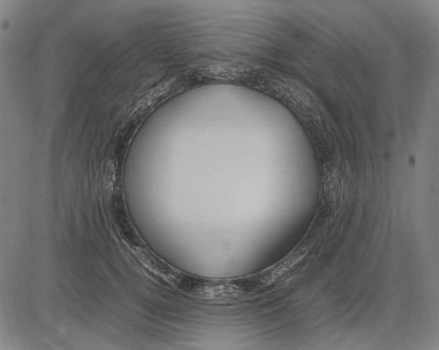 X0000083660752200703121811