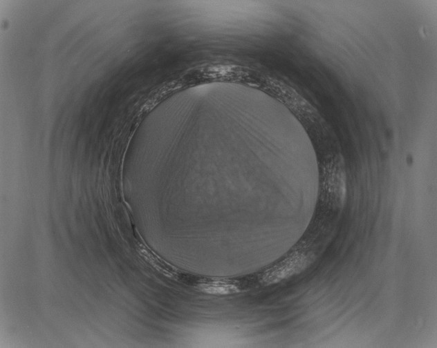 X0000083660754200703121811