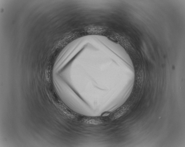 X0000083660755200703121811