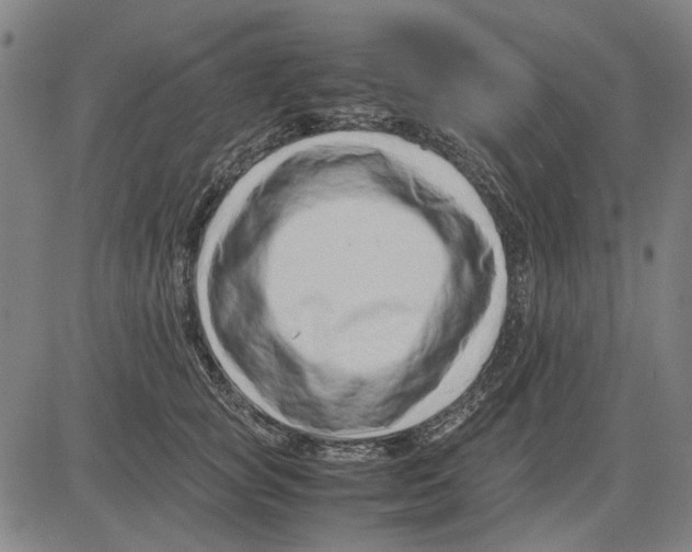 X0000083660757200703121811