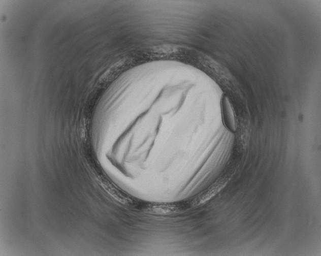 X0000083660758200703121811