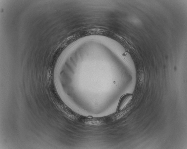 X0000083660759200703121811