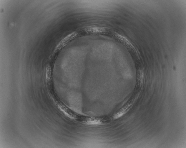 X0000083660760200703121811