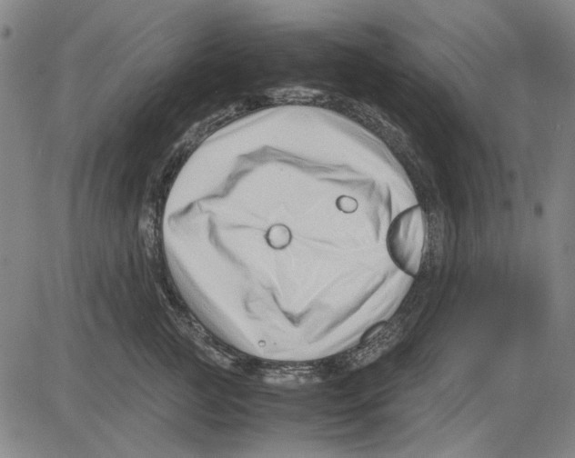 X0000083660761200703121811