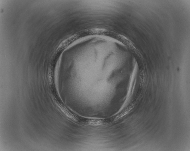 X0000083660762200703121811