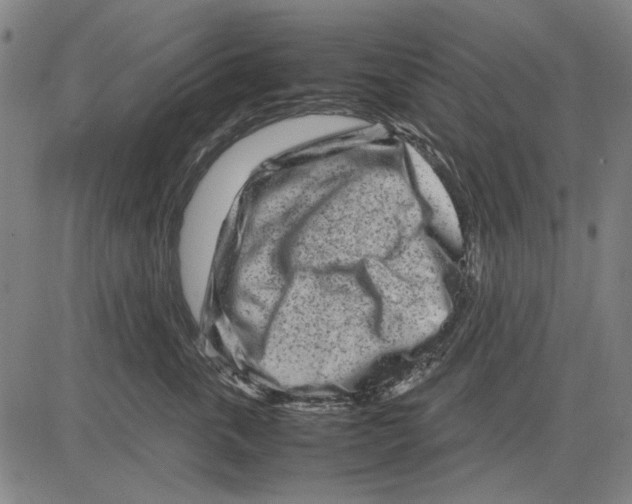 X0000083660763200703121811