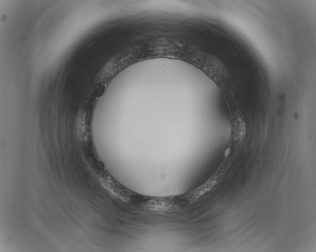 X0000083660764200703121811