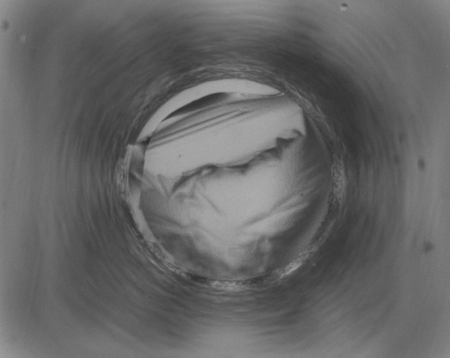 X0000083660766200703121811