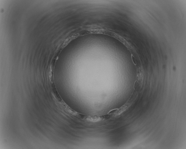 X0000083660767200703121811