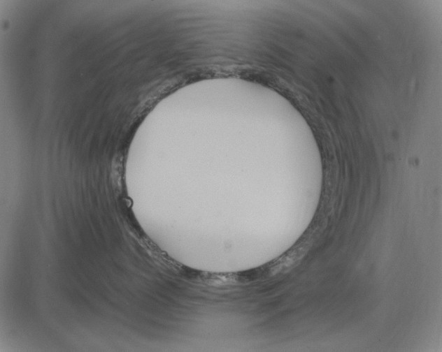 X0000083660768200703121811