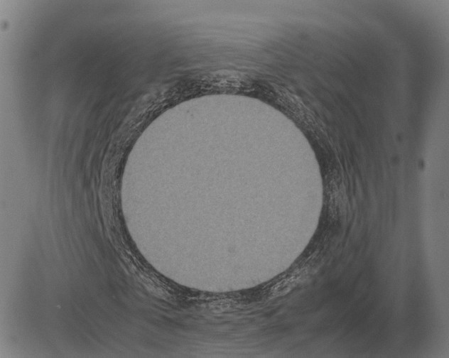 X0000083660769200703121810