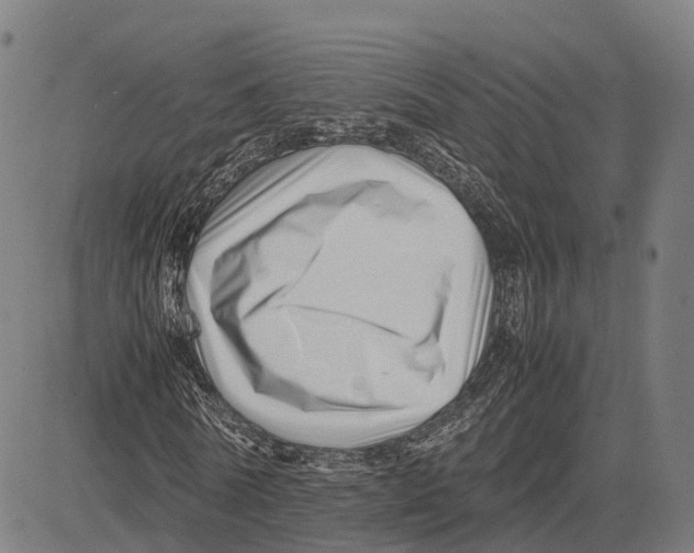 X0000083660770200703121810