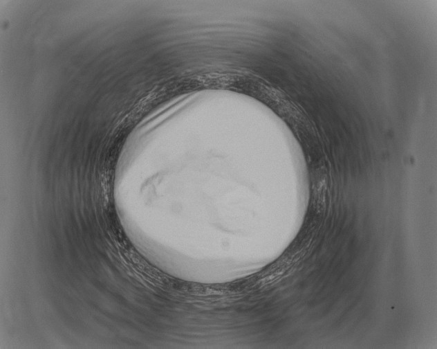 X0000083660772200703121810