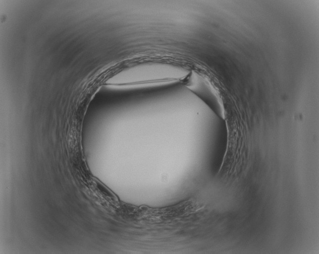 X0000083660773200703121810