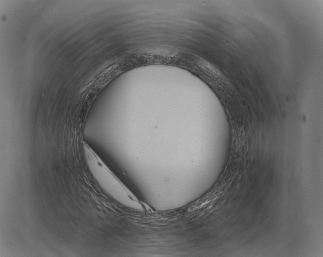 X0000083660774200703121810