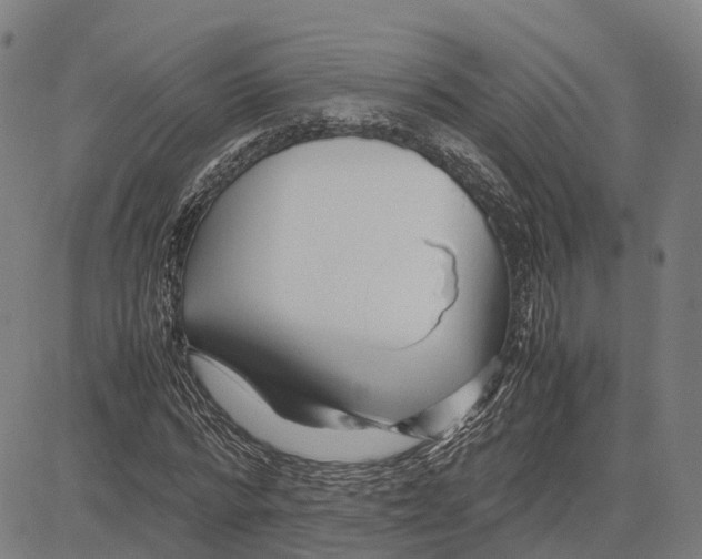 X0000083660776200703121810