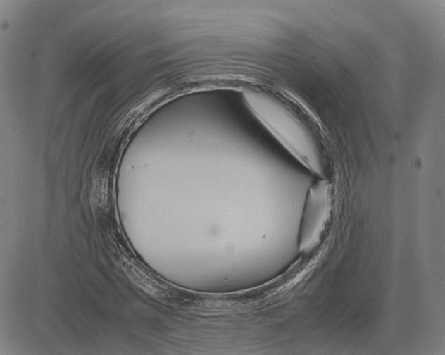 X0000083660777200703121810