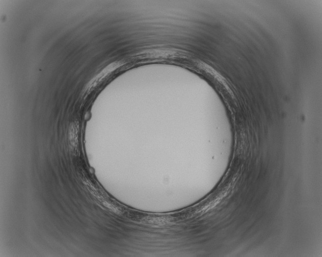 X0000083660778200703121810