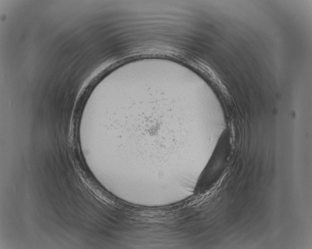 X0000083660780200703121810