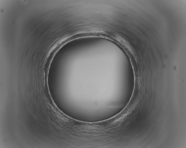 X0000083660781200703121810