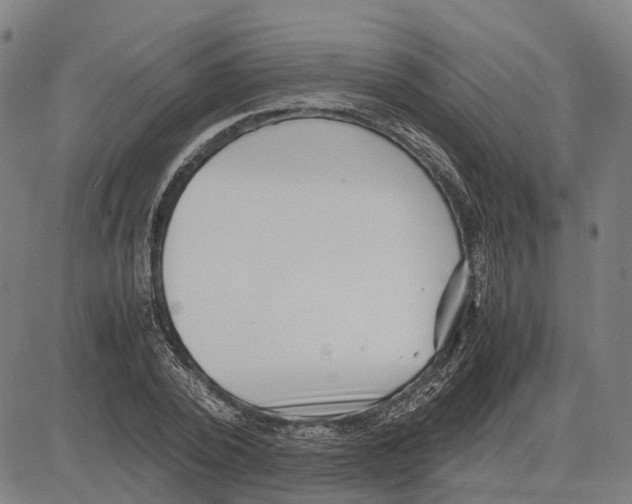 X0000083660784200703121810