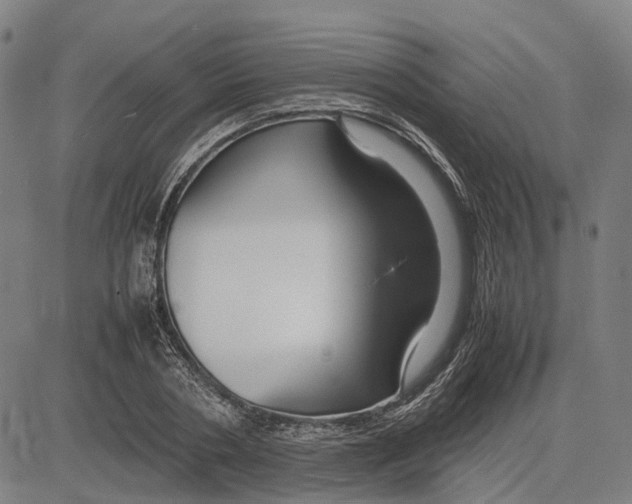 X0000083660786200703121810