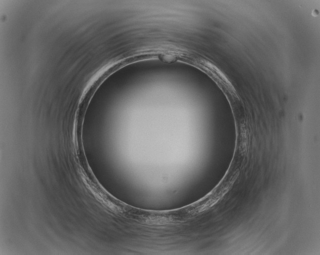 X0000083660788200703121810