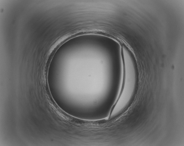 X0000083660789200703121810