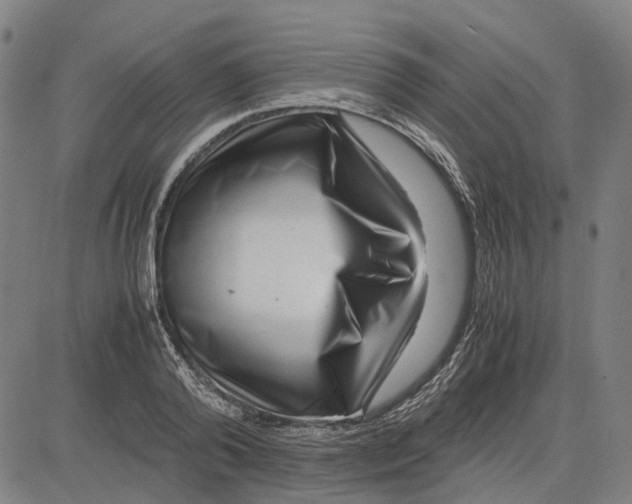 X0000083660792200703121810