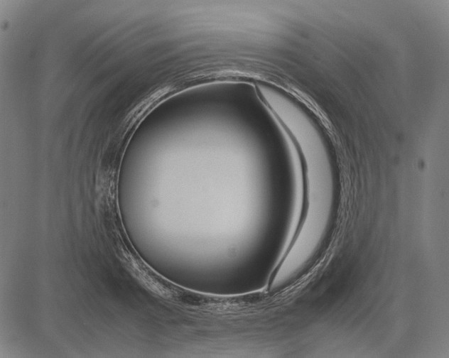 X0000083660793200703121810