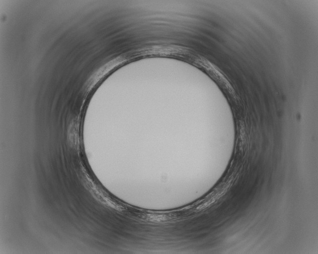 X0000083660794200703121810