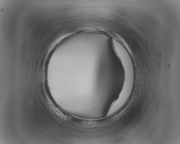 X0000083660795200703121810