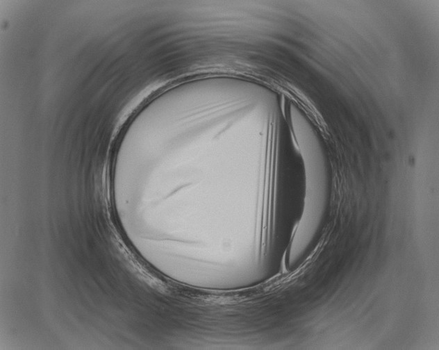 X0000083660796200703121810