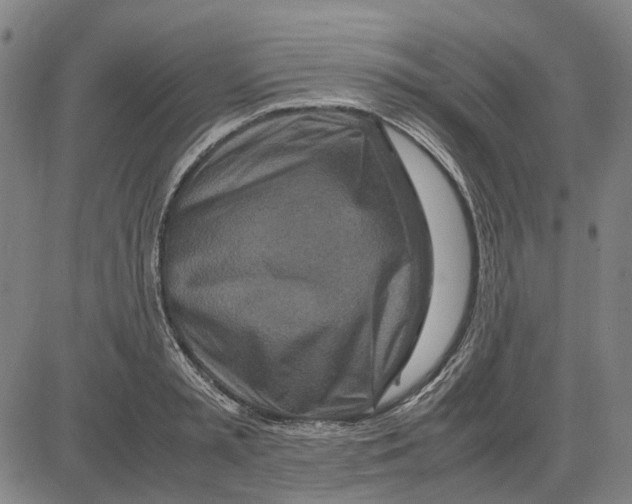 X0000083660797200703121810