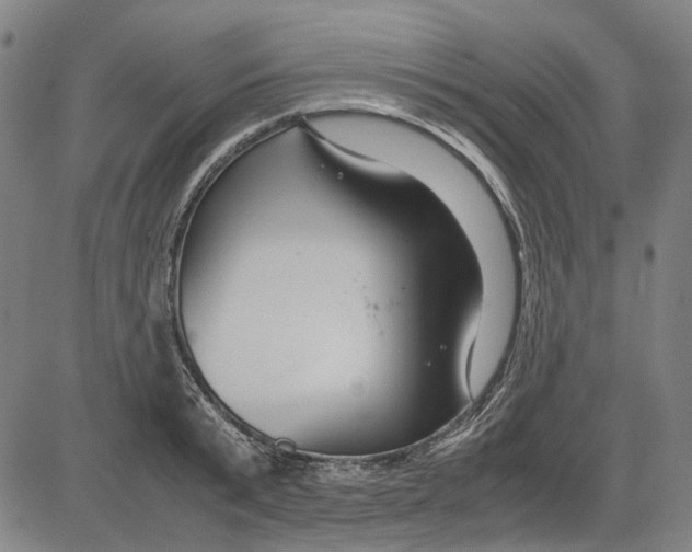 X0000083660799200703121810