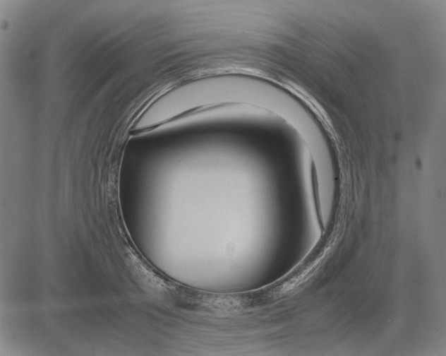 X0000083660801200703121810