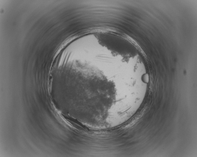 X0000083660802200703121810