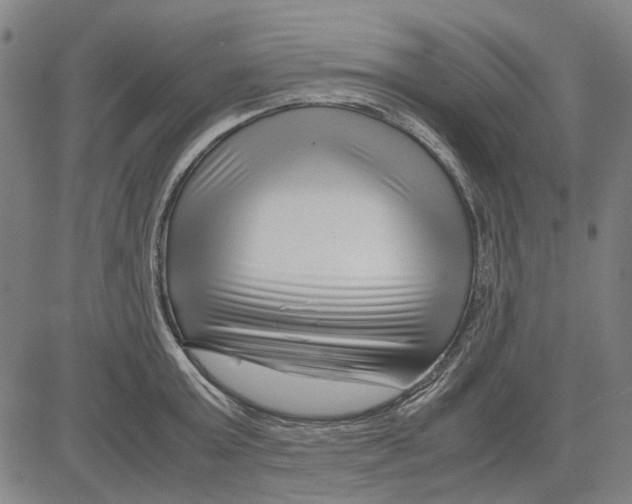 X0000083660803200703121810