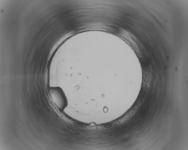 X0000083660804200703121810