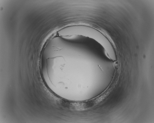 X0000083660805200703121810