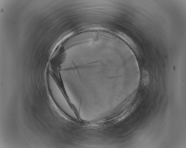 X0000083660806200703121810